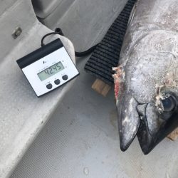 まると屋 釣果