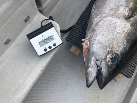 まると屋 釣果