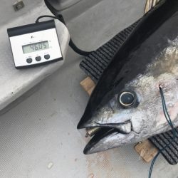 まると屋 釣果