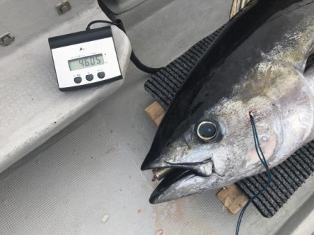 まると屋 釣果