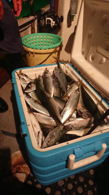 魁皇 釣果