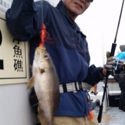 小海途 釣果