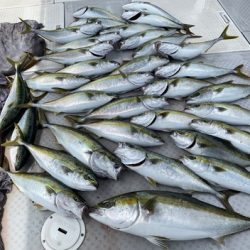 ミタチ丸 釣果