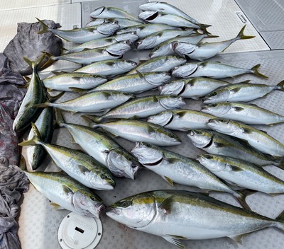 ミタチ丸 釣果