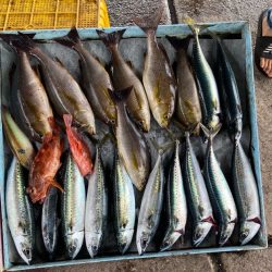 明神釣船 釣果