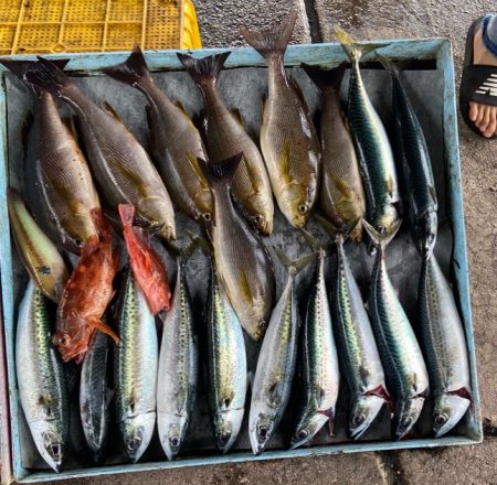 明神釣船 釣果