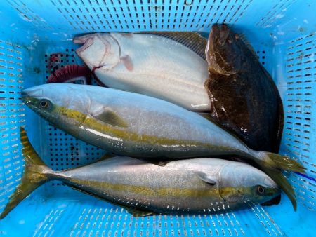 明神釣船 釣果