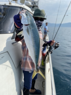 シーモンキー 釣果