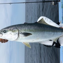 松鶴丸 釣果