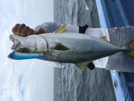 松鶴丸 釣果