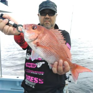 東京湾探釣隊ぼっち 釣果