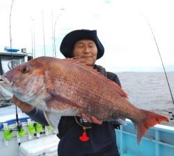 東京湾探釣隊ぼっち 釣果