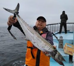 東京湾探釣隊ぼっち 釣果