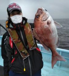 東京湾探釣隊ぼっち 釣果