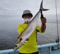 東京湾探釣隊ぼっち 釣果