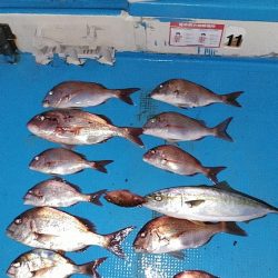 フィッシングガイド りょう 釣果