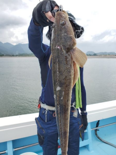 海晴丸 釣果