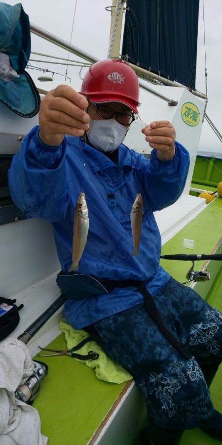 島きち丸 釣果