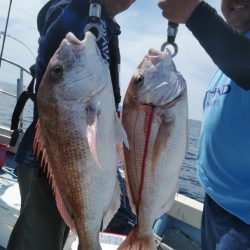 秀漁丸 釣果