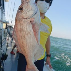 だて丸 釣果