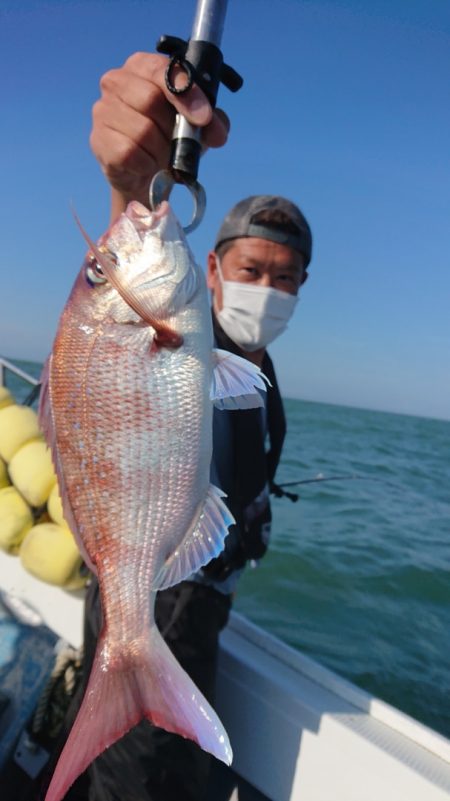 だて丸 釣果