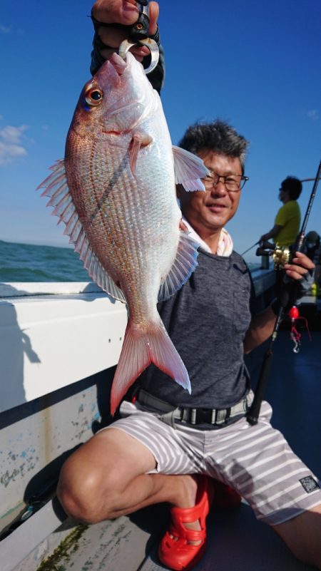 だて丸 釣果