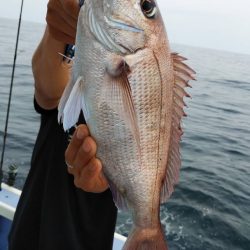 新幸丸 釣果