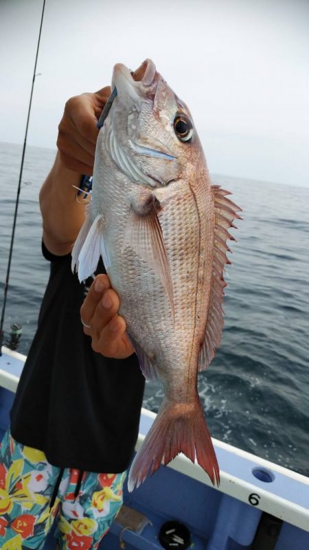 新幸丸 釣果