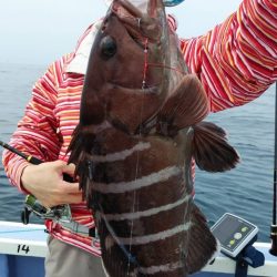 新幸丸 釣果