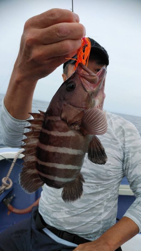 新幸丸 釣果