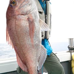 だて丸 釣果