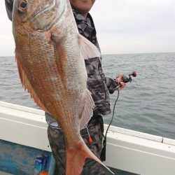 だて丸 釣果