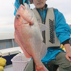 だて丸 釣果