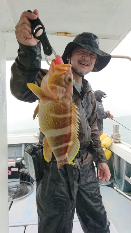 だて丸 釣果