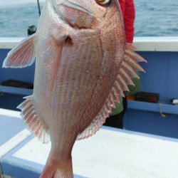 新幸丸 釣果