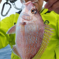 新幸丸 釣果