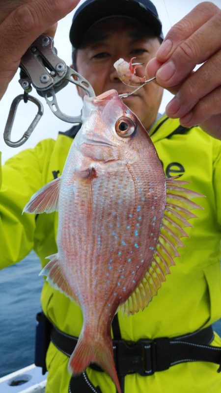 新幸丸 釣果