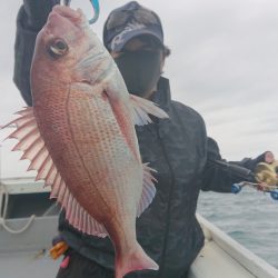 だて丸 釣果