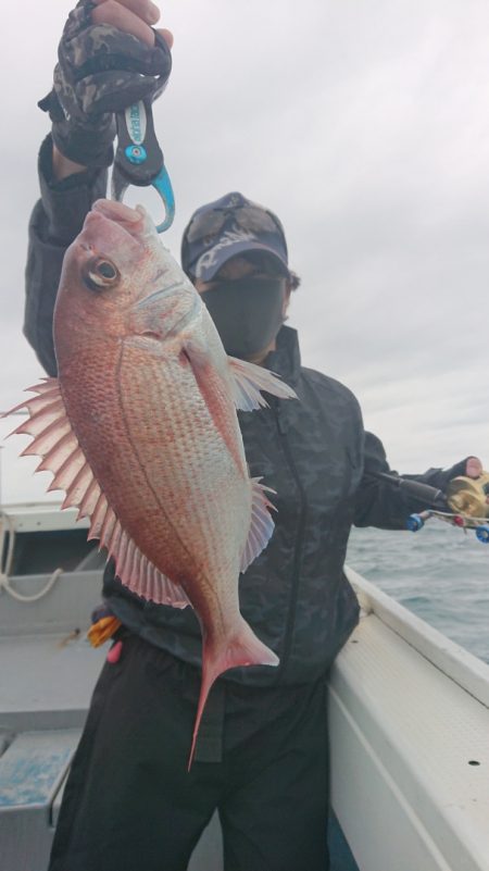 だて丸 釣果