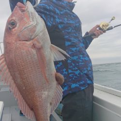 だて丸 釣果