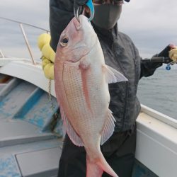 だて丸 釣果