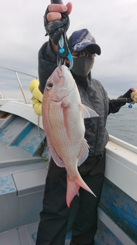 だて丸 釣果