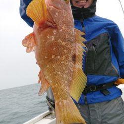 だて丸 釣果