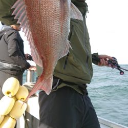 だて丸 釣果