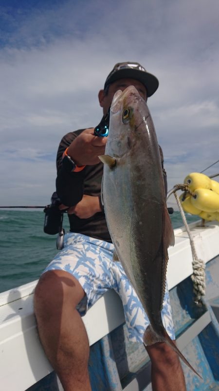 だて丸 釣果