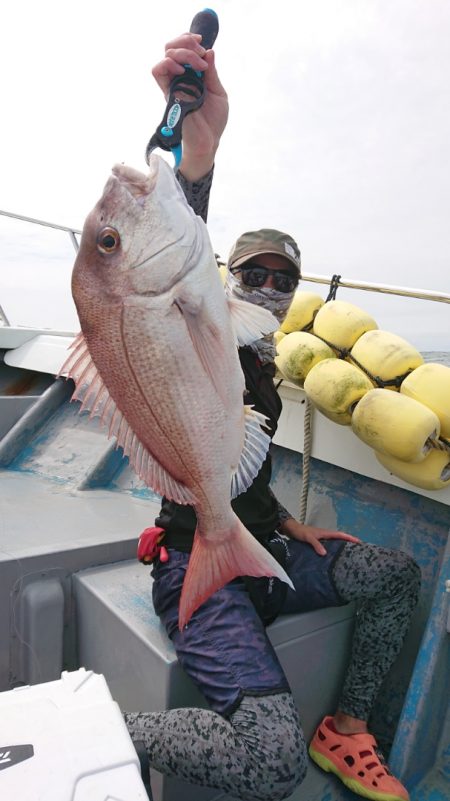 だて丸 釣果