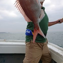 だて丸 釣果