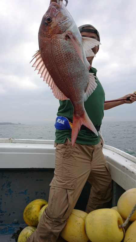 だて丸 釣果