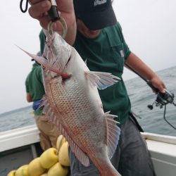 だて丸 釣果