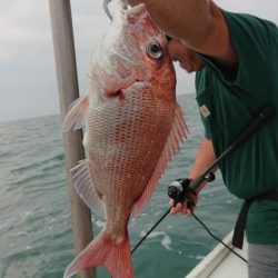 だて丸 釣果